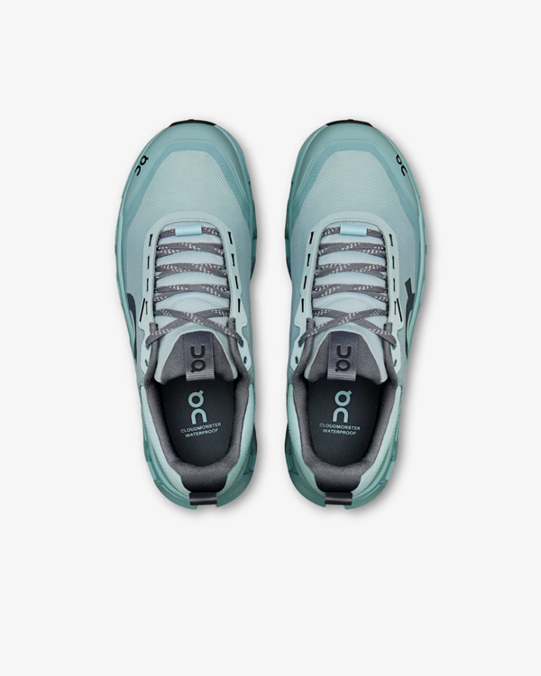 ON RUNNING - Men's Cloudmonster 1 WP - (Brook)