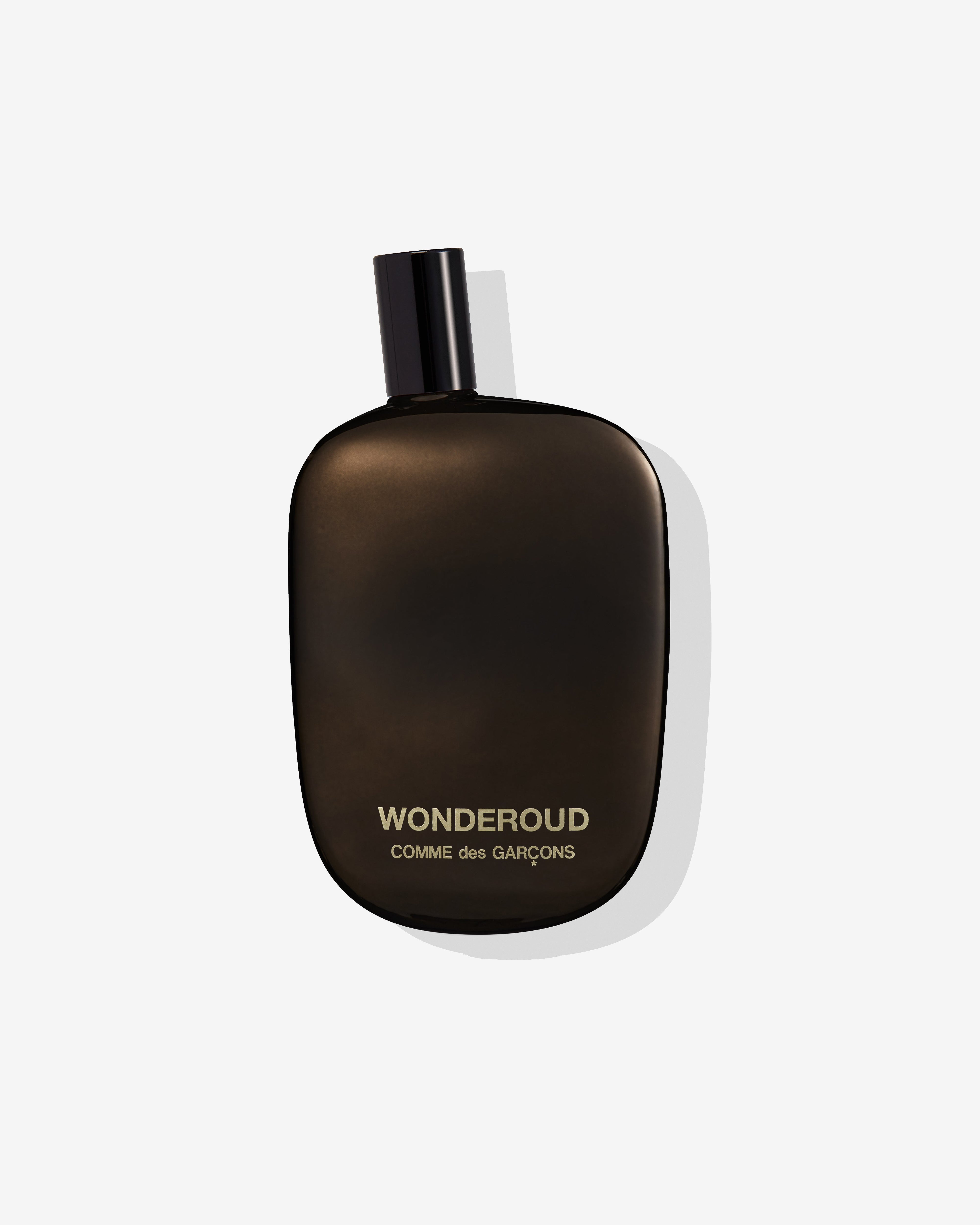 COMME des GARÇONS WONDEROUD 100ml Cdg Parfum: Wonderoud Eau de Parfum (100ml) | DSMS E-SHOP