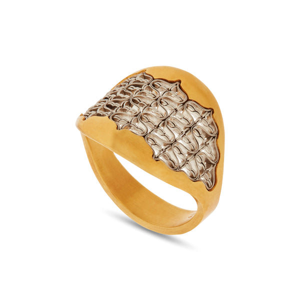 Nikolle Radi_NIKOLLE RADI - Handworked Yellow Gold & Platinum Strand Ring_RINGS
